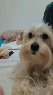 Lía — foto 2