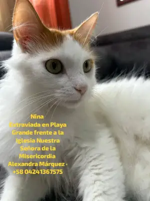 Nina