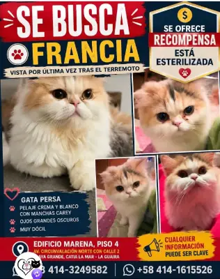 Foto de Francia, reunida con su familia