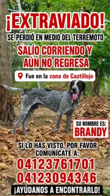 Foto de Brandy, reunida con su familia