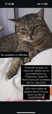 Mitsha