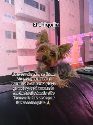 chiquilin