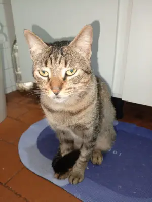 Tom