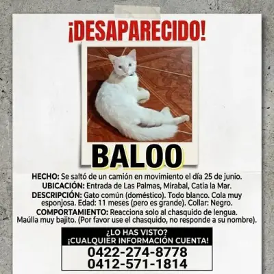 Foto de BALOO, reunida con su familia