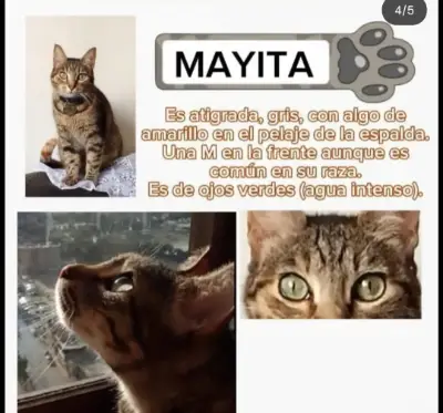 Mayita