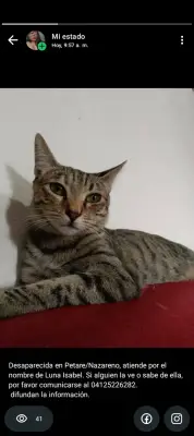 Luna Isabel Prasca
