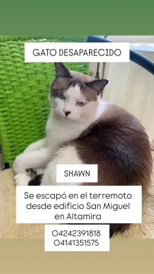 Shawn