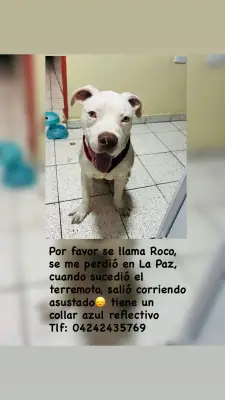 Roco