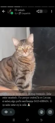 Alvin