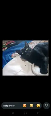 Jerry