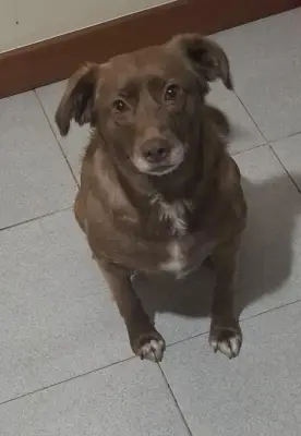 Foto de Canela, reunida con su familia