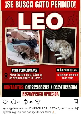 Foto de Leo, reunida con su familia