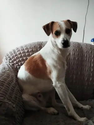 Nemo