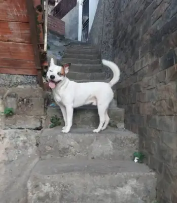 Eythan