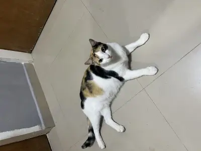 Chloe