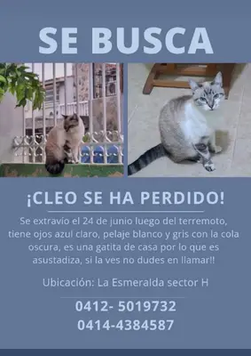 Cleo