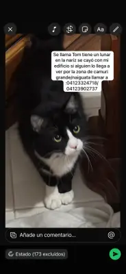 Tom
