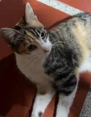 Luna