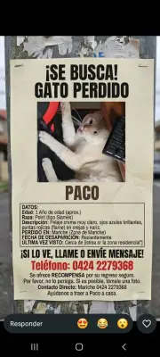 Paco
