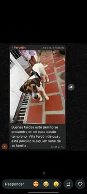 No se sabe el nombre