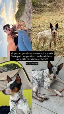 Patricia Acevedo — foto 6