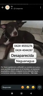 Luna