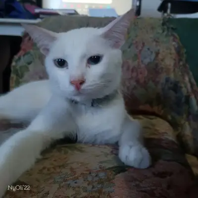 Ezra