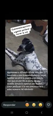 Coco