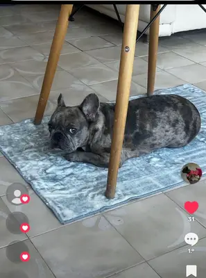 Nella