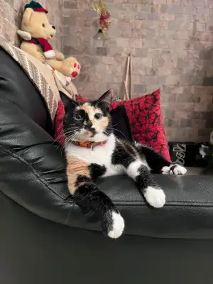 Olivia