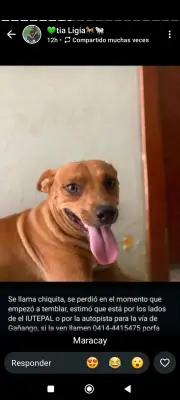 Chiquita