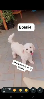 Foto de Bonnie, reunida con su familia