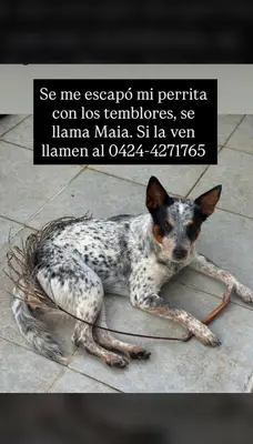 Patricia Acevedo — foto 5