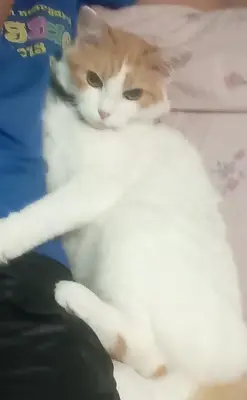 Mimi