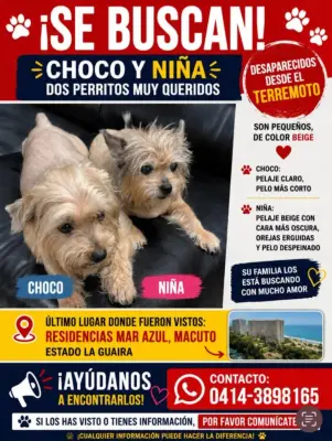Foto de Choco y Niña, reunida con su familia