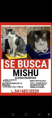 Mishu