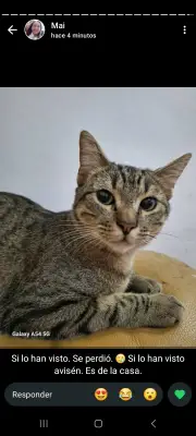 Rigoberto