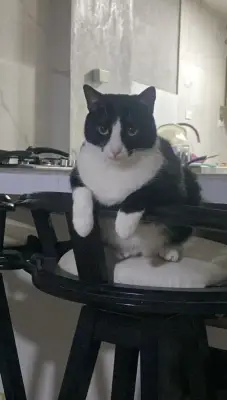 Lola