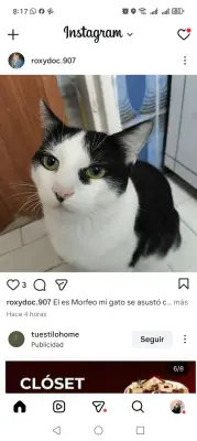 Foto de Morfeo, reunida con su familia