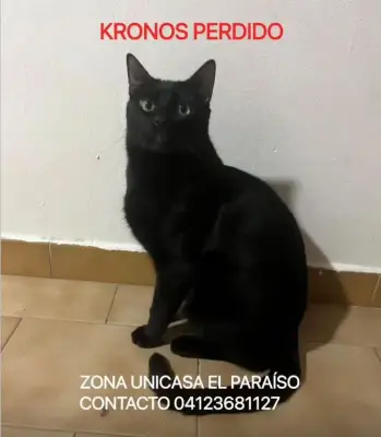 Kronos