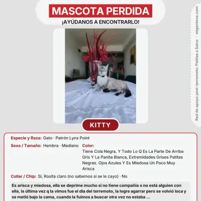 Foto de Kitty, reunida con su familia