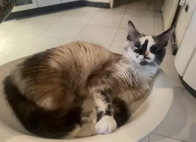 Luna