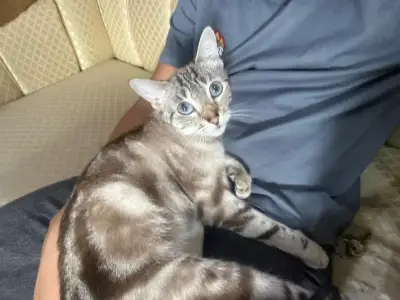 Cleo