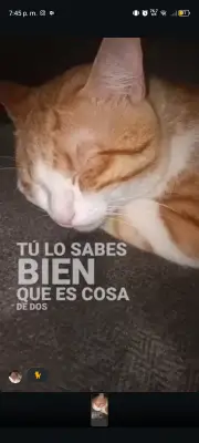 Churro