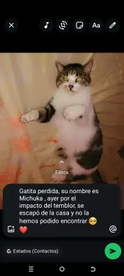 Michuka