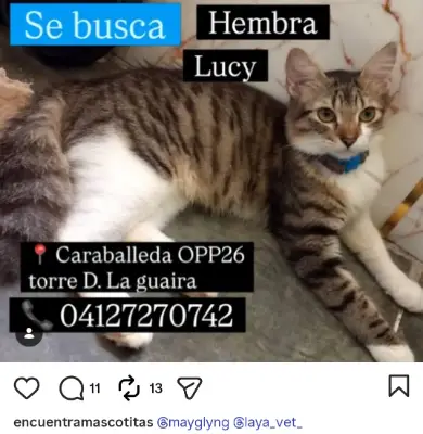 Lucy