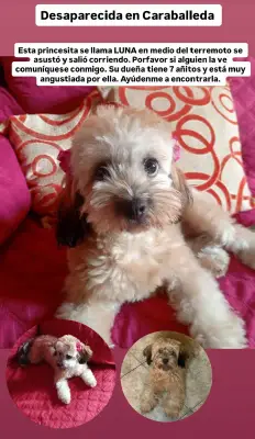 Luna María Porras