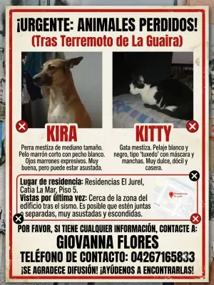Kira y kitty