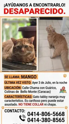 Mango