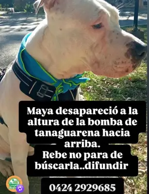Foto de Maya, reunida con su familia